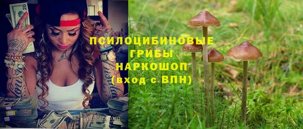спиды Покровск