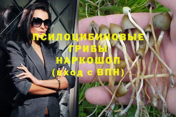 прущие крисы Покачи