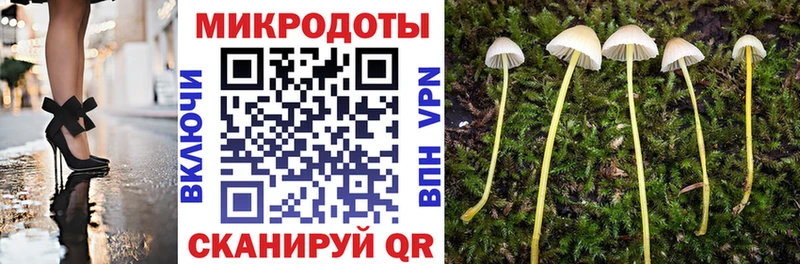 mega вход  Пролетарск  Псилоцибиновые грибы Psilocybe 
